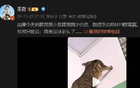  董路：韓少若止步不前，韓足已達(dá)頂峰。