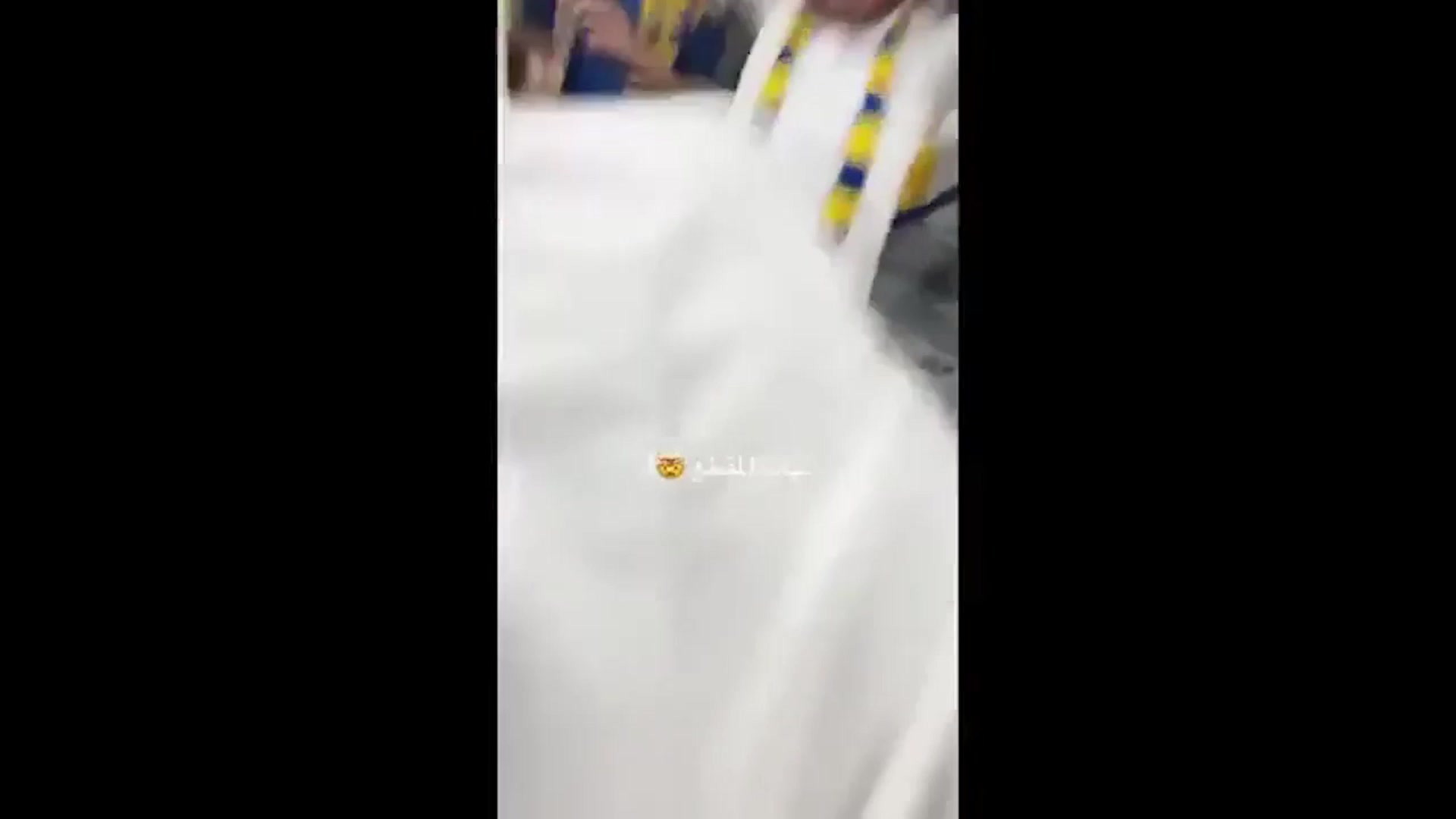  點(diǎn)球打飛球迷手機(jī)！外媒：C羅為球迷賠償一部鍍金iPhone16Pro Max