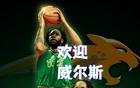  54+9猛將空降沈陽，威爾斯助遼籃四連冠？只待官宣！