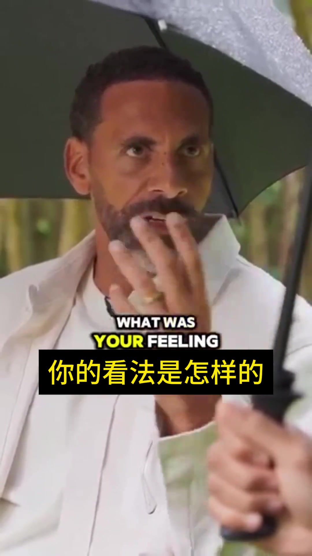  費(fèi)迪南德：范迪克，人們拿我倆比較