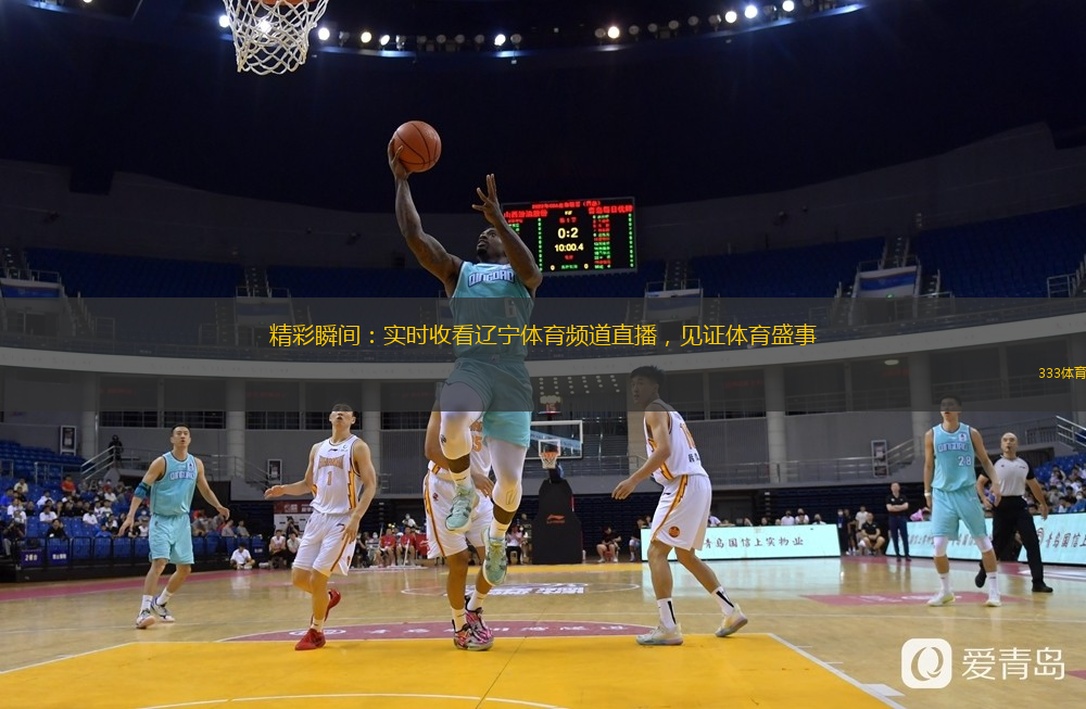  精彩瞬間：實時收看遼寧體育頻道直播，見證體育盛事