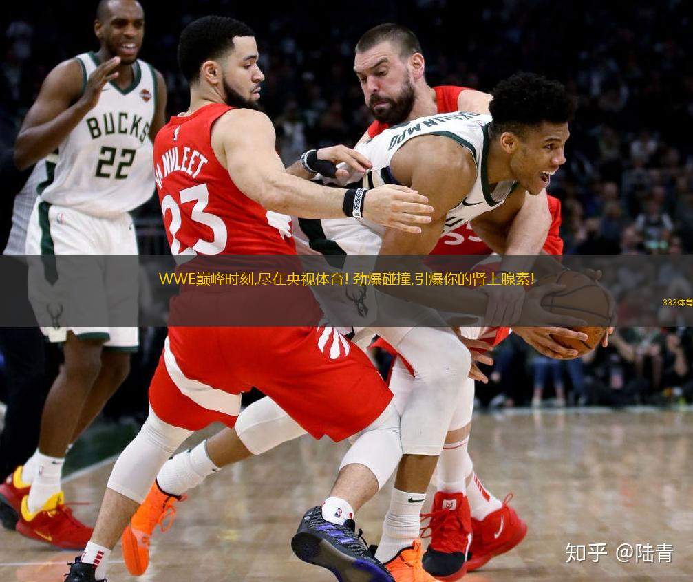  WWE巔峰時(shí)刻,盡在央視體育! 勁爆碰撞,引爆你的腎上腺素!