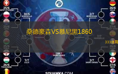  桑德豪森VS慕尼黑1860