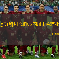  浙江稠州金租VS四川豐谷酒業(yè)