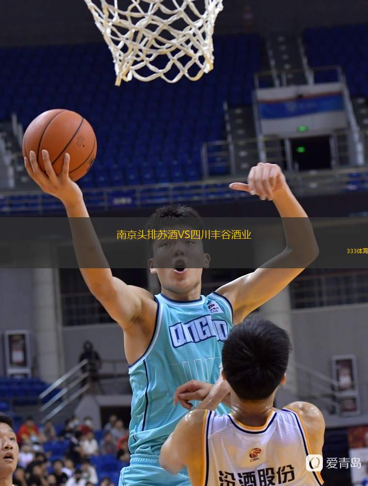  南京頭排蘇酒VS四川豐谷酒業(yè)