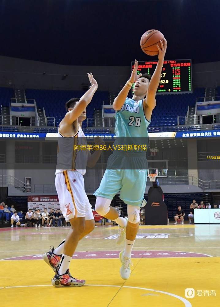  阿德萊德36人VS珀斯野貓