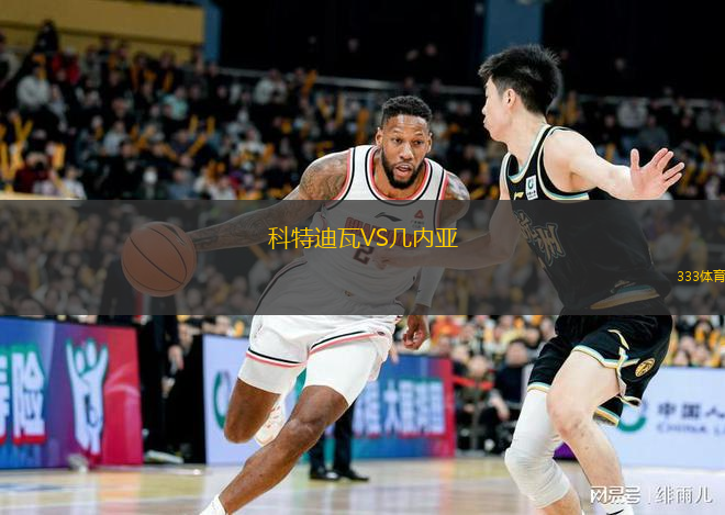  科特迪瓦VS幾內(nèi)亞